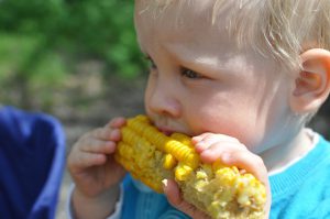 Śniadanie Dla Wegetarian – 7 Zdrowych i Pełnowartościowych Posiłków